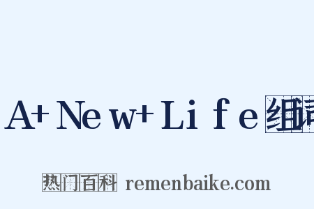 A+New+Life组词是什么意思的图片